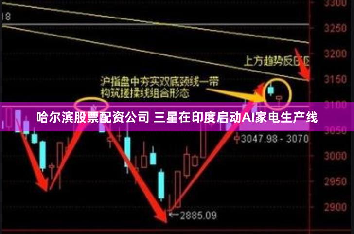 哈尔滨股票配资公司 三星在印度启动AI家电生产线