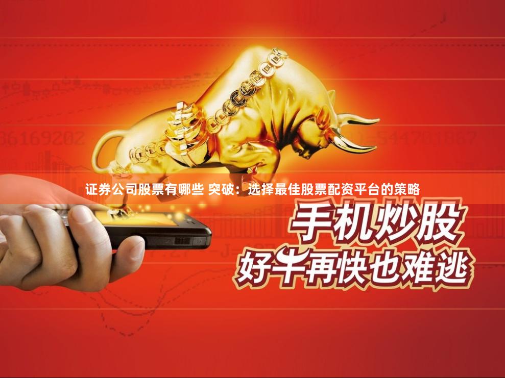 证券公司股票有哪些 突破：选择最佳股票配资平台的策略